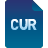 Curriculum
